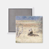 Löwe Magnet (Vorderseite/Rückseite)