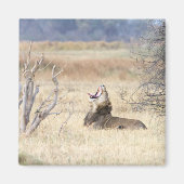 Löwe Magnet (Vorne)