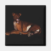 Löwe Magnet (Vorne)