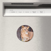 Löwe Magnet (In Situ (Geschirrspüler))