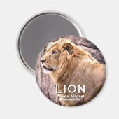 Löwe Magnet (Vorderseite/Rückseite)