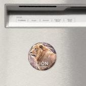Löwe Magnet (In Situ (Geschirrspüler))