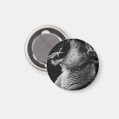 Löwe Magnet (Vorderseite/Rückseite)