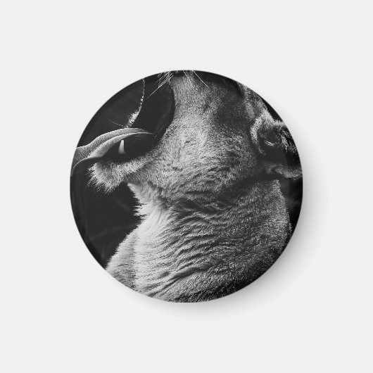 Löwe Magnet (Vorne)