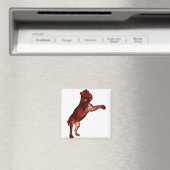 Löwe Magnet (In Situ (Geschirrspüler))