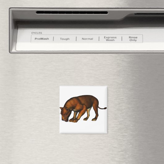 Löwe Magnet (In Situ (Geschirrspüler))