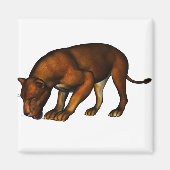 Löwe Magnet (Vorne)
