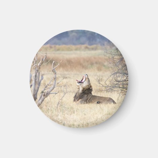 Löwe Magnet (Vorne)