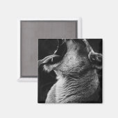 Löwe Magnet (Vorderseite/Rückseite)