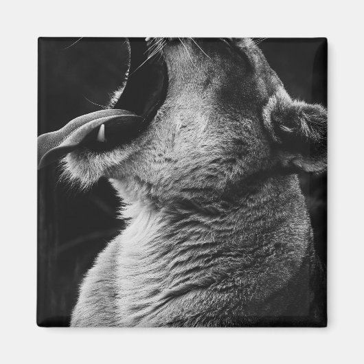 Löwe Magnet (Vorne)