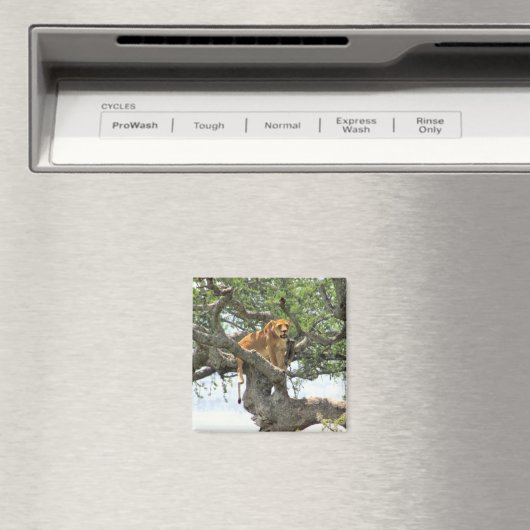 Löwe Magnet (In Situ (Geschirrspüler))