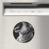 Löwe Magnet (In Situ (Geschirrspüler))