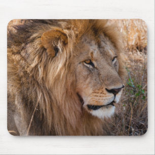 Löwe Masai-Mara-Nationalreservat, Kenia Mousepad