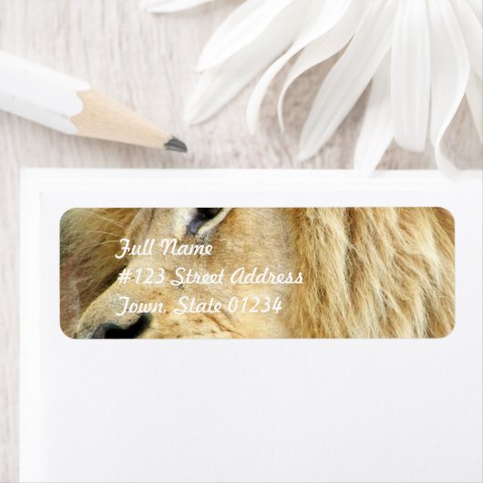 Löwe mit dicken Mane-Mailing-Labels (Insitu)