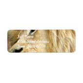 Löwe mit dicken Mane-Mailing-Labels (Vorne)