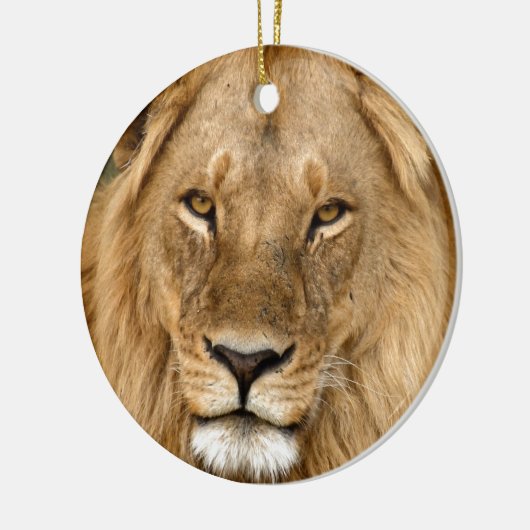 Löwe mit großer Mane, Keramik Keramik Ornament (Links)