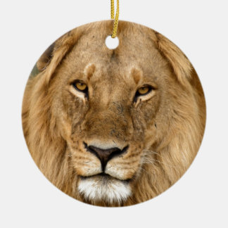 Löwe mit großer Mane Keramik Ornament