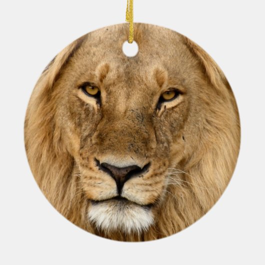 Löwe mit großer Mane, Keramik Ornament (Hinten)
