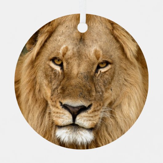 Löwe mit großer Mane-Keramik Ornament Aus Metall (Vorderseite)