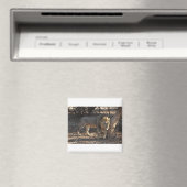 Löwe mit juckender Schulter, Sambia Magnet (In Situ (Geschirrspüler))