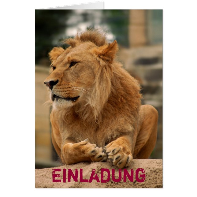 Löwe mit Punkerfrisur (Vorne)