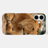 Löwe mit Punkfrisuren Case-Mate iPhone Hülle (Rückseite (Horizontal))