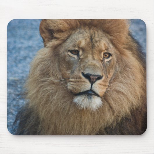 Löwe Mousepad (Vorne)