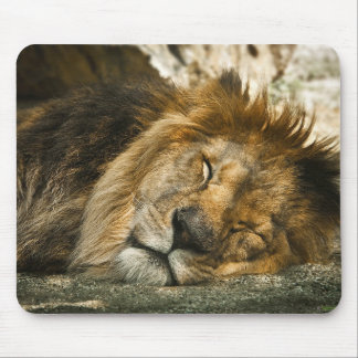 Löwe Mousepad