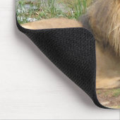 Löwe Mousepad (Ecke)