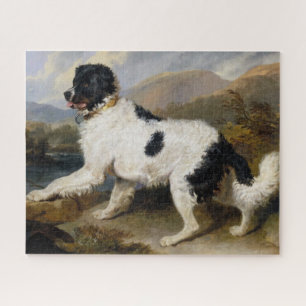 Löwe: Newfoundland-Hund-Puzzle Puzzle