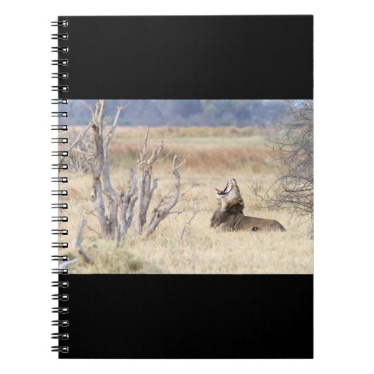 Löwe Notizblock (Vorderseite)