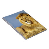 Löwe Notizblock (Rechte Seite)