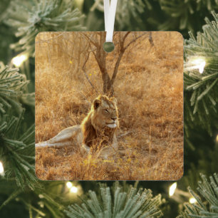 Löwe Ornament Aus Metall