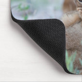 Löwe (Panthera leo), die Mütter beißen, Mousepad (Ecke)