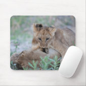 Löwe (Panthera leo), die Mütter beißen, Mousepad (Mit Mouse)