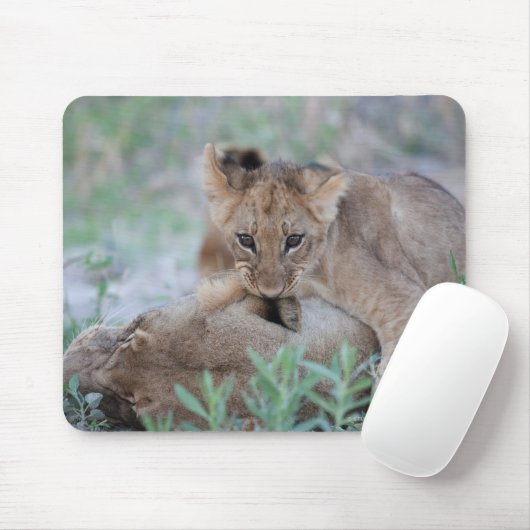 Löwe (Panthera leo), die Mütter beißen, Mousepad (Mit Mouse)