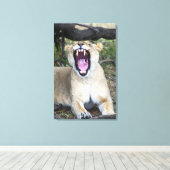 Löwe (Panthera leo), Masai Mara National 2 Leinwanddruck (Insitu (Holzboden))