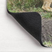 Löwe (Panthera leo), Masai Mara National Mousepad (Ecke)