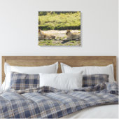 Löwe (Panthera leo), zwei junge Löwen, Masai Leinwanddruck (Insitu (Schlafzimmer))