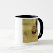 Löwe (Panthera Löwe) gehend in einen Wald, Tasse (VorderseiteRechts)
