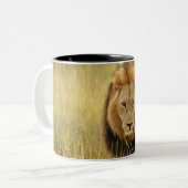 Löwe (Panthera Löwe) gehend in einen Wald, Zweifarbige Tasse (Vorderseite Links)