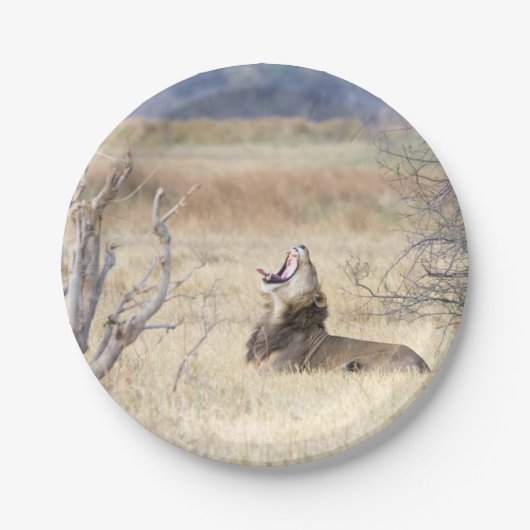 Löwe Pappteller (Vorderseite)