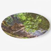 LÖWE PAPPTELLER (Schrägansicht)