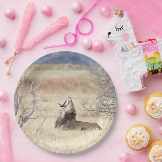 Löwe Pappteller (Party)