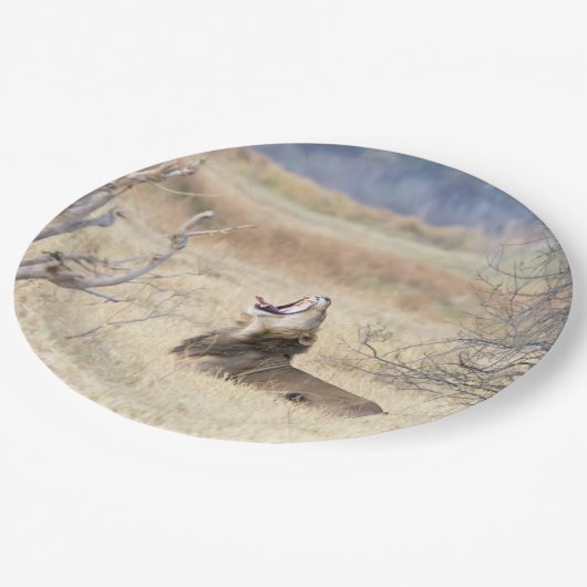 Löwe Pappteller (Schrägansicht)