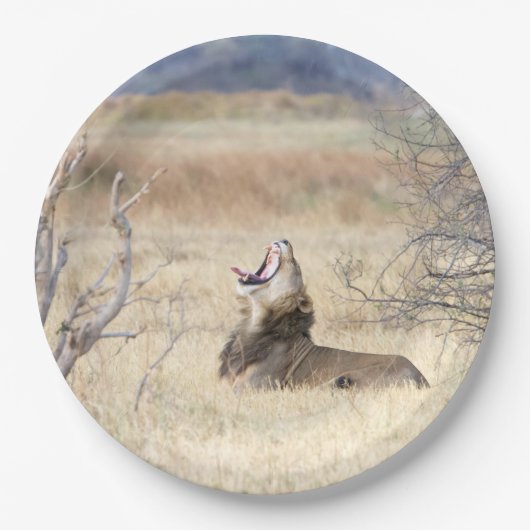 Löwe Pappteller (Vorderseite)