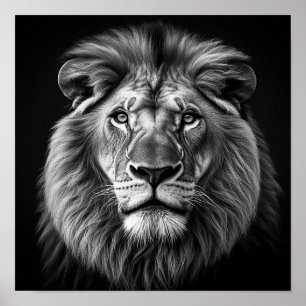 Löwe Poster