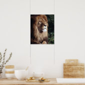 Löwe Poster (Küche)