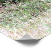 Löwe Poster (Ecke)