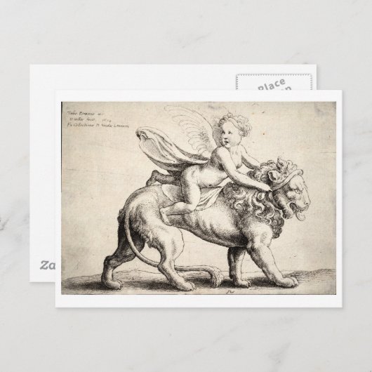 Löwe Postkarte (Vorne/Hinten)